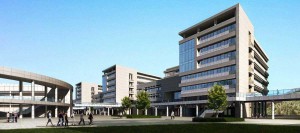 天下美容网是做什么的